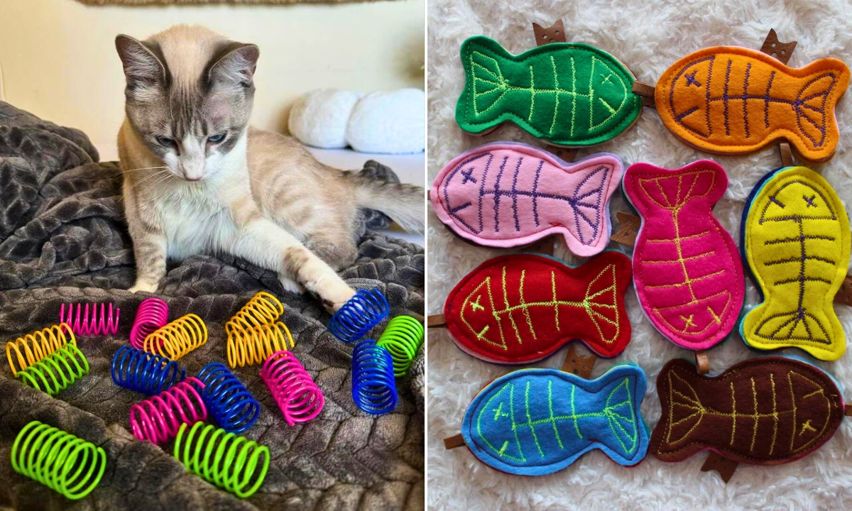 31 Creative DIY Cat Toys for 2025