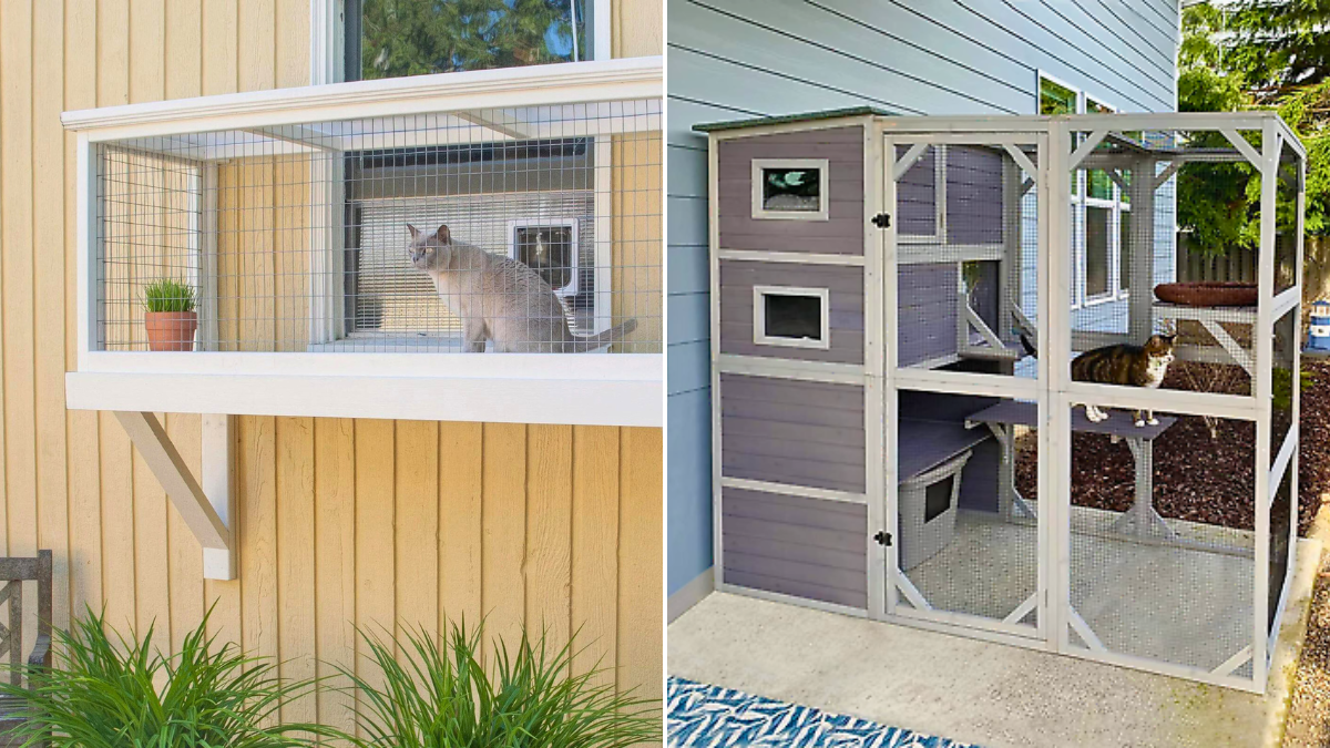 30 Perfect Catio Ideas For Cats in 2025