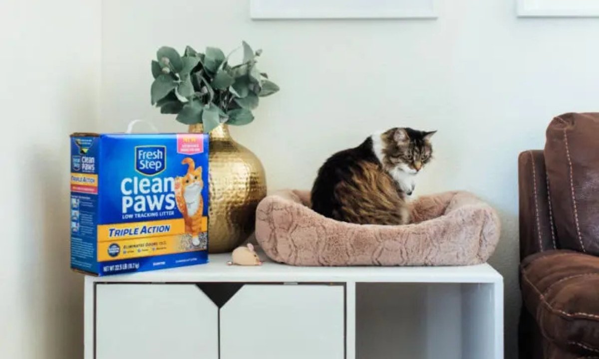 25 DIY Cat Litter Box Ideas for 2025