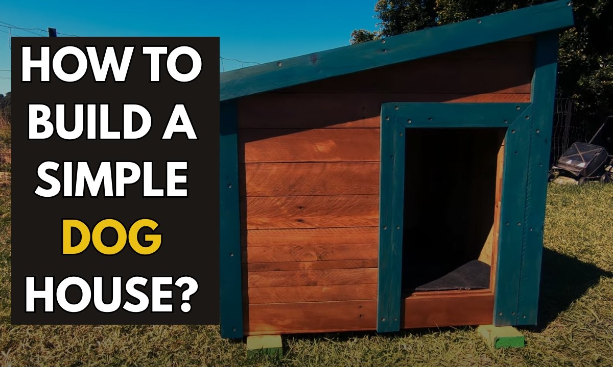 How to Build a Simple Dog House – Ultimate Guide