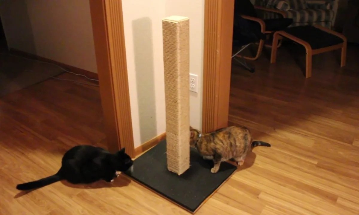 How to Build a Cat Scratching Post – Step By Step