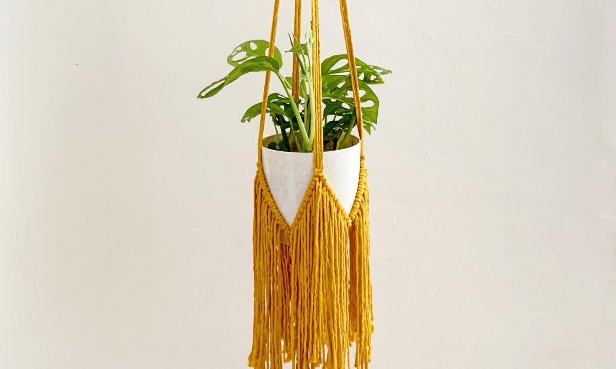 How to Make a Macrame Plant Hanger